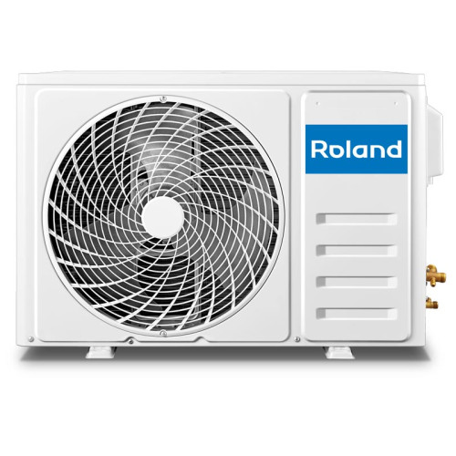 Roland RD-WZ09HSS/N1